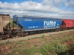 RUMO HTT-351207-0